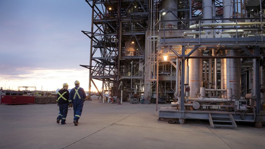 Top-Land-Img-01-11-Shell